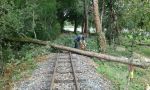 Photo albulle/data/photos/Chantiers_InfraHorsVoie/Gare/20150813_Aou_2015_DegagementVoieApresTempete/20150813_DegagementVoieApresTempete_04.jpg