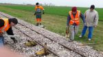 Photo albulle/data/photos/Chantiers_Voie/Ailleurs/20160402_Avr_2016_RelevementPithiviers/20160402_RelevementPithiviers_12.jpg