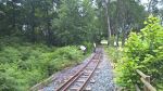 Photo albulle/data/photos/Chantiers_InfraHorsVoie/EnLigne/20160628_Jun_2016_Debrouss/20160628_162844_Debroussaillage_PDe.jpg
